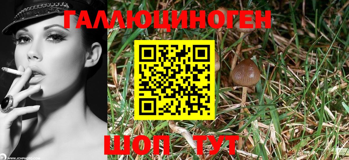 Галлюциногенные грибы Cubensis Амурск