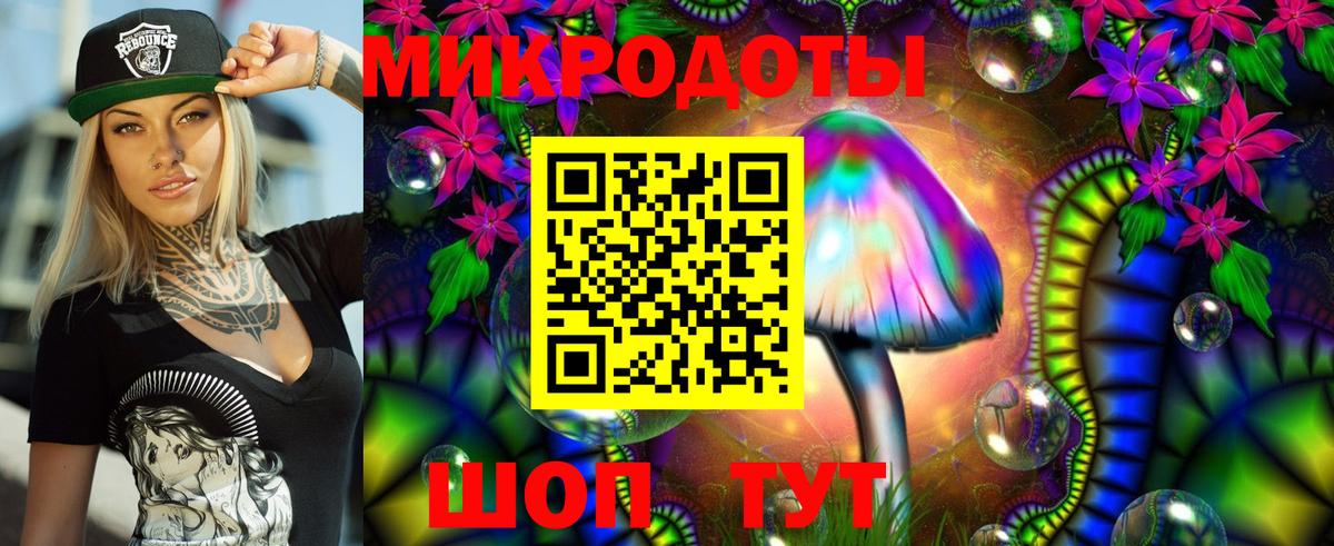 Галлюциногенные грибы Cubensis  сколько стоит  Амурск  Галлюциногенные грибы Psilocybe  Вход с VPN 